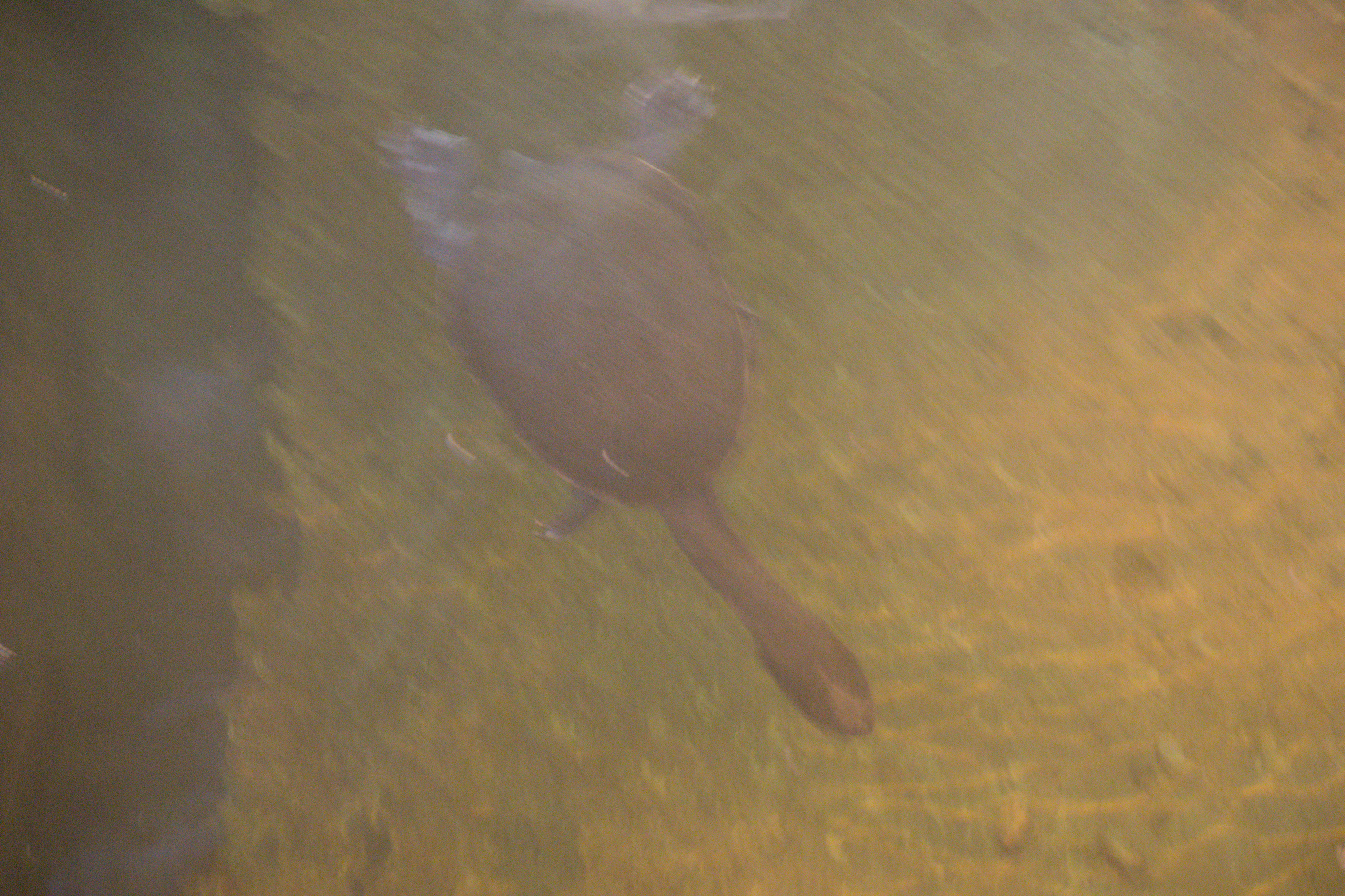 2025/10/12 - zoo/DSC_0148.jpg